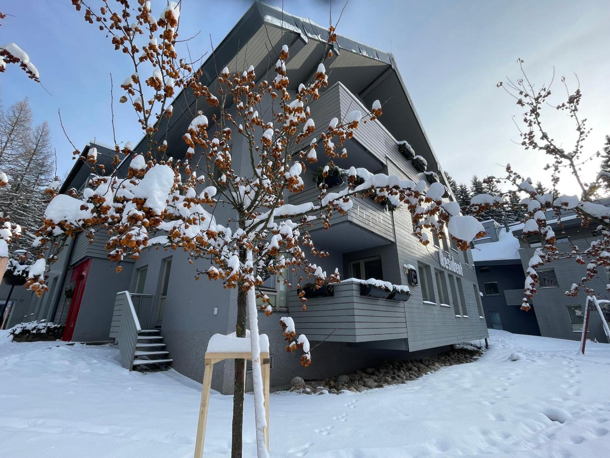 Spirit Harrachov Superior Wellness Apartments - Free Wellness, Wifi, Parking, Harrachov Card Exterior photo